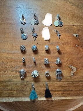 Pandora Charms
